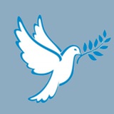 Telegram profile photo for Friedensbündnis Bergstraße