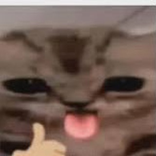Telegram profile photo for Nigga
