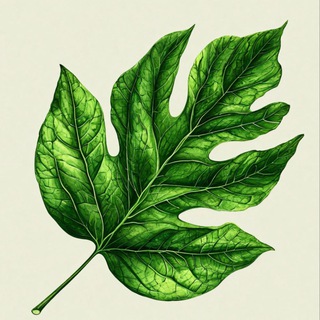 Telegram profile photo for Healthy