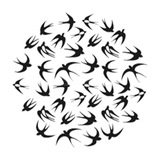 Telegram profile photo for Новости Пенза: все новости Сурского края
