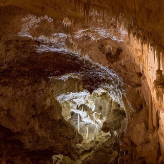Telegram profile photo for Gang Caverns on Telegram