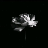 Telegram profile photo for أَثَـرٌ جَمِيـلٌ قَبلَ الرَّحِيــــل𓂆🪴.