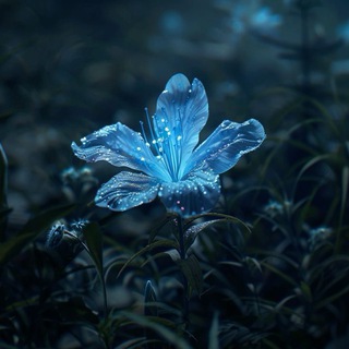 Telegram profile photo for أثَــرٌ🦋✨.
