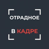 Telegram profile photo for Отрадное в кадре