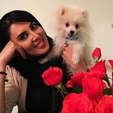 Telegram profile photo for بازیگران و حیوانات خانگیشان