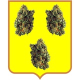 Telegram profile photo for Мовить Керюхін