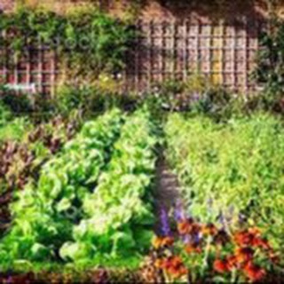 Telegram profile photo for L’autonomie alimentaire pour tous