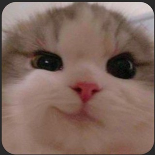 Telegram group profile photo for 豆腐卜买卖群