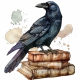 Telegram profile photo for بوکشاپ کلاغ | Crow Bookshop