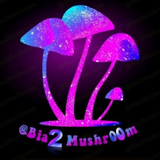 Telegram profile photo for 🍄 بیا تو مجیک ماشروم ( قارچ جادویی روانگردان ) سایکدلیک