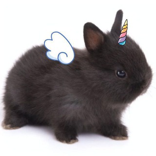 Telegram profile photo for чери арт канал пр