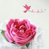 Telegram profile photo for ”..نَــقـــآء 🌸~