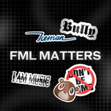 Telegram profile photo for FML ПЕРЕХОДНИК