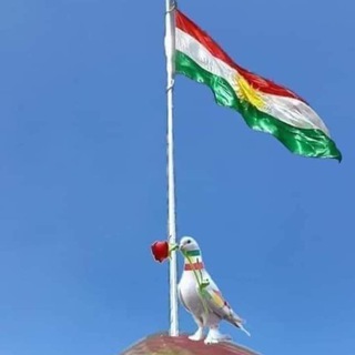 Telegram profile photo for کورد آوا