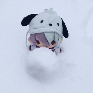 Telegram profile photo for Чипса клеит