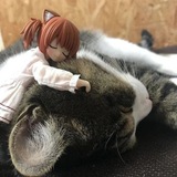 Telegram profile photo for продаже персаф >.<