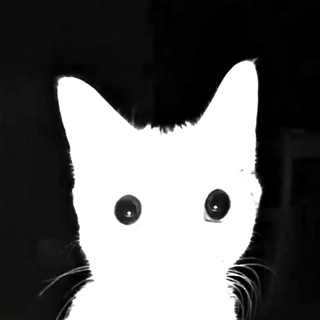 Telegram profile photo for Наталья kuf