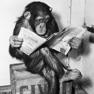 Telegram profile photo for Reading Ape Journal