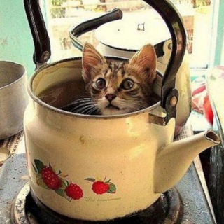 Telegram profile photo for чайник украли