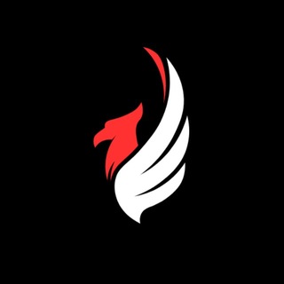Telegram profile photo for ciprobe