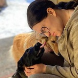 Telegram profile photo for SVIT_ANIMALS_LIVE