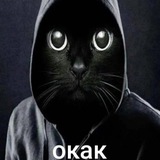 Telegram profile photo for сасав