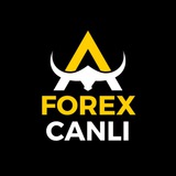 Telegram profile photo for Forex Canli