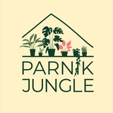 Telegram profile photo for Растения в наличии Parnik Jungle