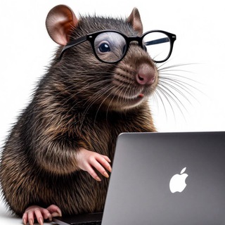 Telegram profile photo for Crypto Mole 💎