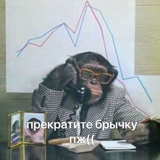 Telegram profile photo for AVSTRALOPITEK TRADE