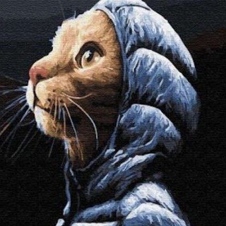Telegram profile photo for Сева Китик