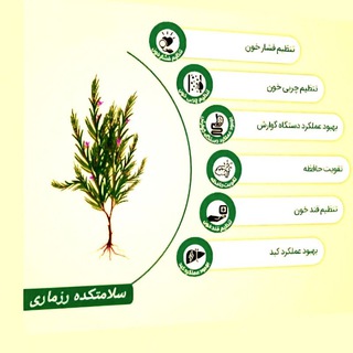 Telegram profile photo for سلامتکده رزماری