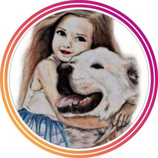 Telegram profile photo for Команда помощи животным ШАНС на Кубани