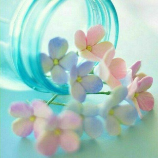 Telegram profile photo for 🌼💎Girl_chanel💎🌼