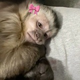 Telegram profile photo for НА БАНКЕ ПИШЕТСЯ ТУШЁНКА!!!!!!!!!!!!!
