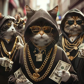 Telegram profile photo for Meow Gangs | $MEOWG Listed CMC Bitmart MEXC