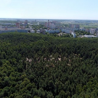 Telegram profile photo for Лесопарк Волкуша | г.о. Лыткарино 🌳