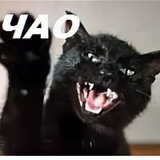 Telegram profile photo for Комнатасвязи