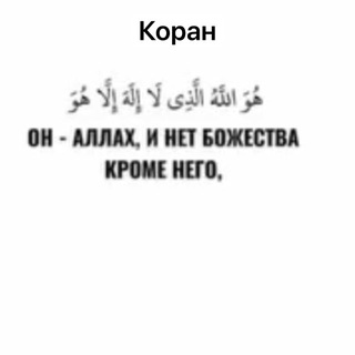 Telegram profile photo for 100 хадисов