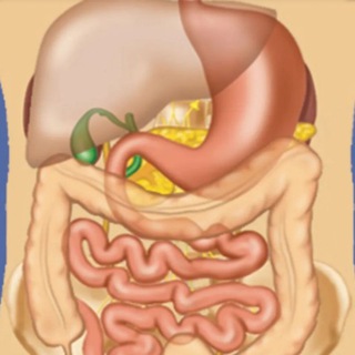 Telegram profile photo for GASTROENTEROLOGY & HEPATOLOGY LITERATURE UPDATED