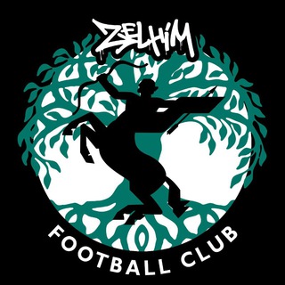 Telegram profile photo for ZELHIM FC