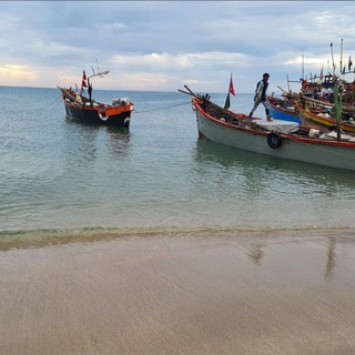 Telegram profile photo for Step_to_fisheries