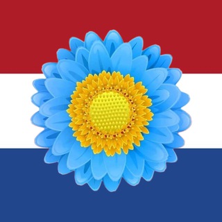 Telegram profile photo for Українці в Нідерландах🇳🇱🇺🇦