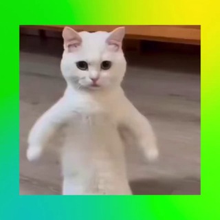 Telegram profile photo for Vũ Trụ Sticker - 表情包😎