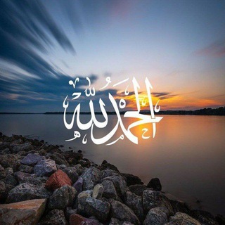 Telegram profile photo for آجر كل يوم