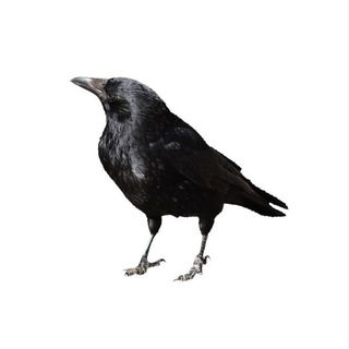 Telegram profile photo for де варон