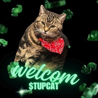 Telegram profile photo for $TUPCAT