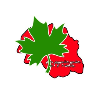 Telegram profile photo for Kashmir Tigers