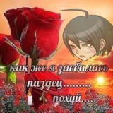 Telegram profile photo for NuezWalnut тгк