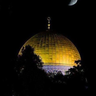 Telegram profile photo for غزہ، فلسطین اردو